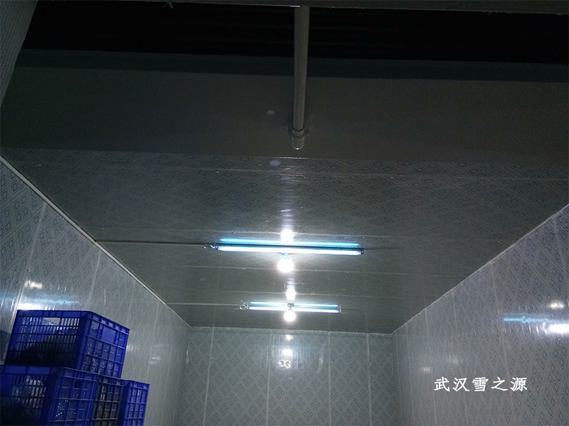 江夏冷庫案例